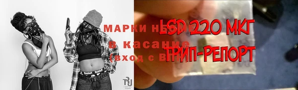 ECSTASY Бронницы