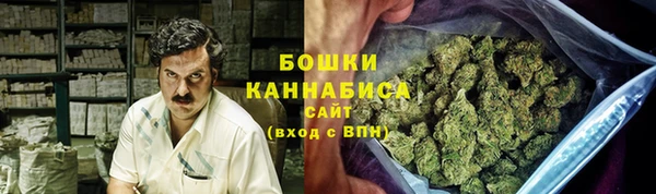 шишки Бугульма
