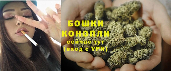 apvp Семилуки