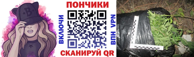 MEGA вход  Семёнов  Бошки Шишки планчик  что такое наркотик 